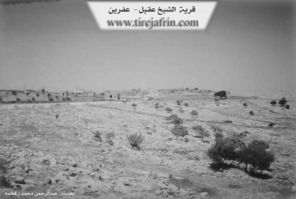 Photo of Xirabî Şêx 'Eqîl